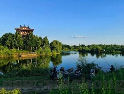 麻豆视频兔子先生-麻豆视频中的兔子先生，一场虚拟世界的友情故事