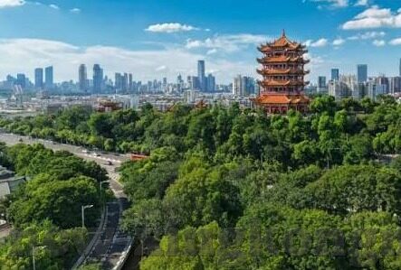 糖心vlog官网地址-探秘糖心vlogger世界,解锁官网的奇妙之旅
